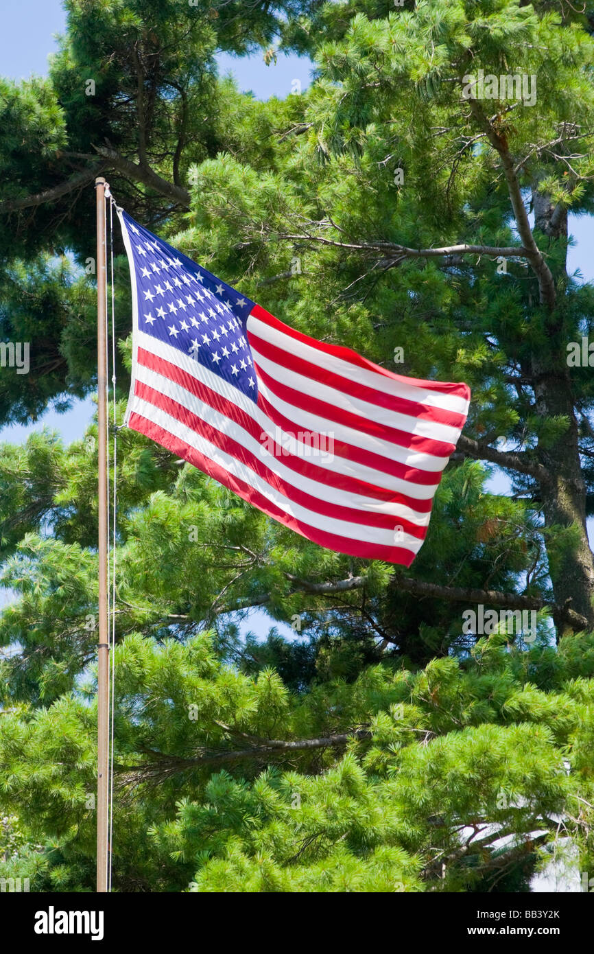 Stati Uniti d'America, New York, sul fiume San Lorenzo. Bandiera americana su un pennone onde contro il grande albero. Foto Stock