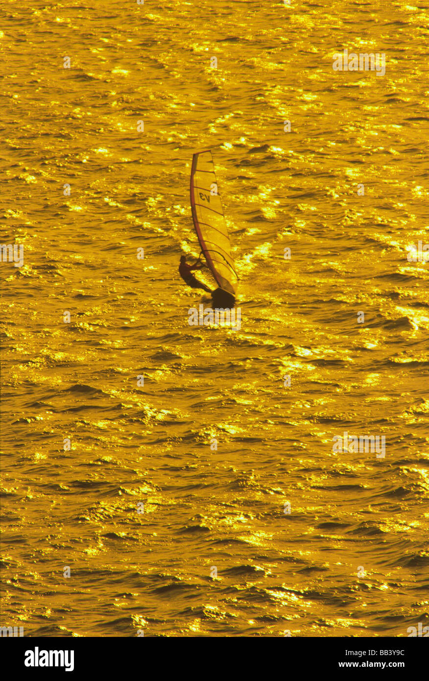 Windsurf, Florida, overhead vista aerea del windsurf, Foto Stock