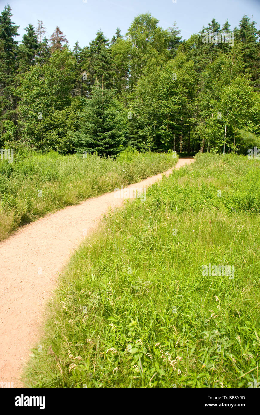 Canada, Prince Edward Island. Green Gables NP. Impostazione per L.M. Montgomery narrativa classica, ossessionato sentiero in legno. Foto Stock