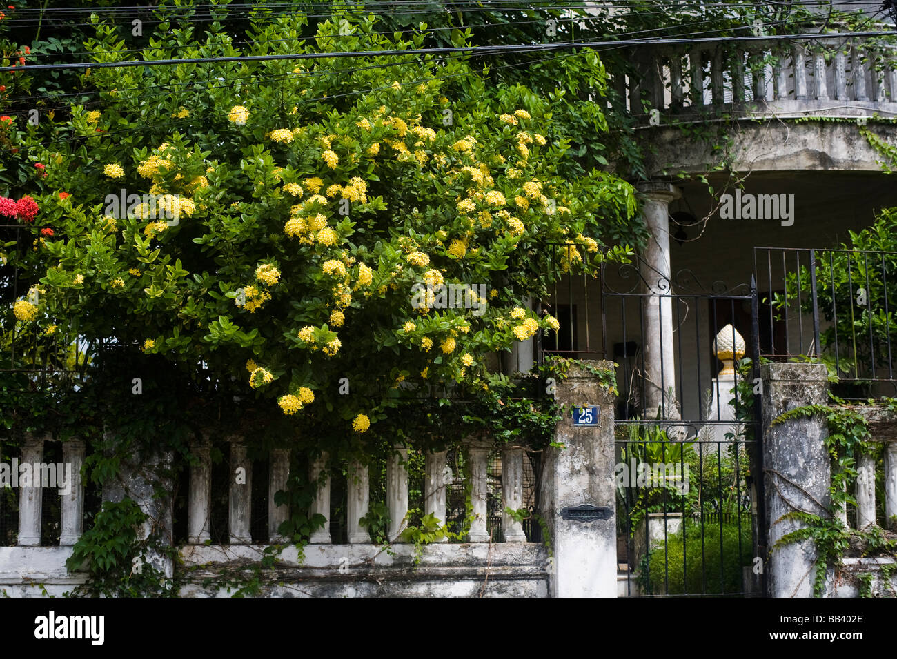 I dettagli di una antica villa e giardino nel centro storico di Santa Teresa Collina nieghborhood a Rio de Janeiro in Brasile. Foto Stock