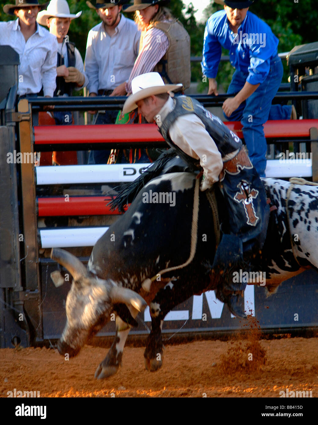 Rodeo bull rider performance al Texas State Fair rodeo arena/Dallas 2008 Foto Stock