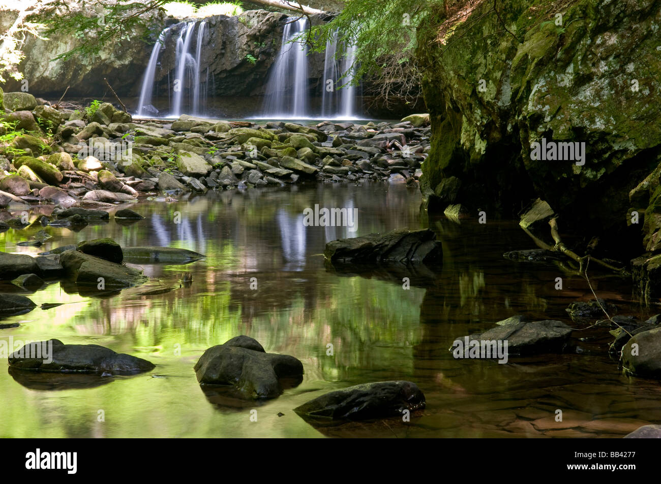 TN, Sud Cumberland parco dello stato Foto Stock