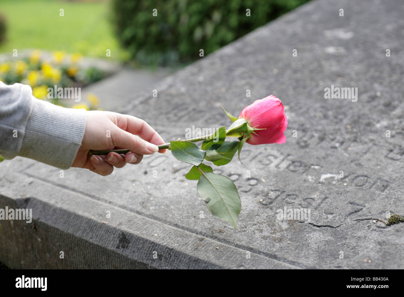 Donna con una rosa su una lastra tombale Foto Stock
