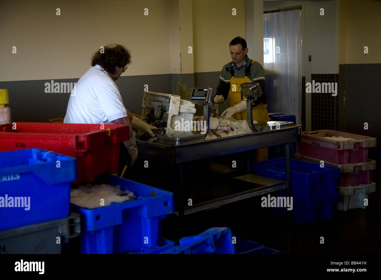 La lavorazione del pesce di Newhaven East Sussex England Foto Stock