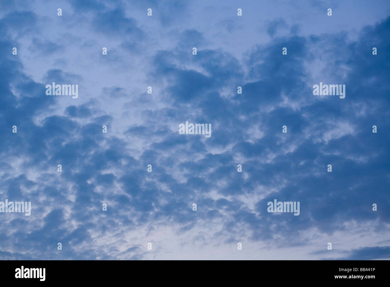 La mattina presto sky in estate con soffici nuvole Cumulus. Sussex, Inghilterra Foto Stock