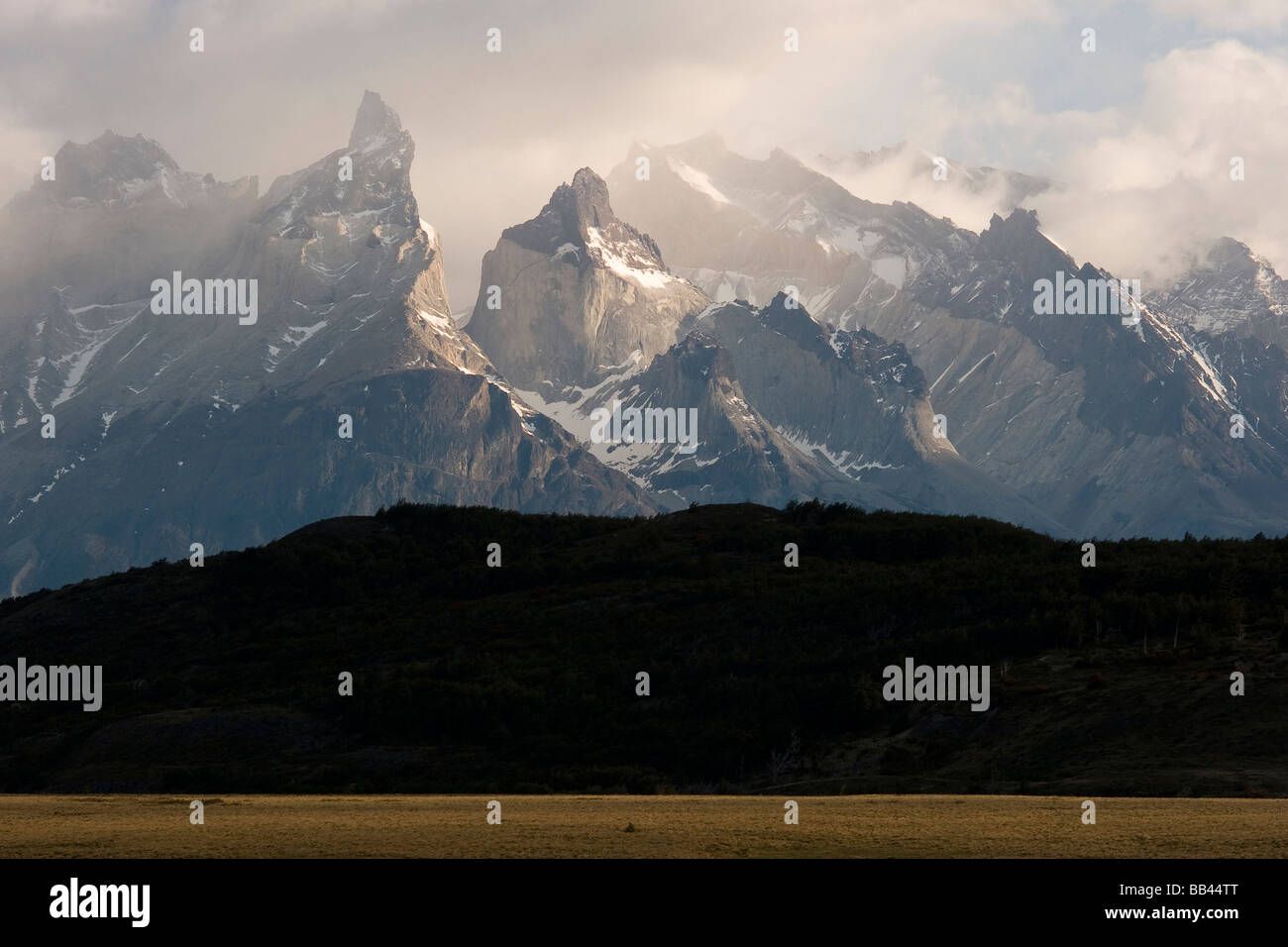 Parco Nazionale di Torres del Paine Magallanes, Cile. Foto Stock