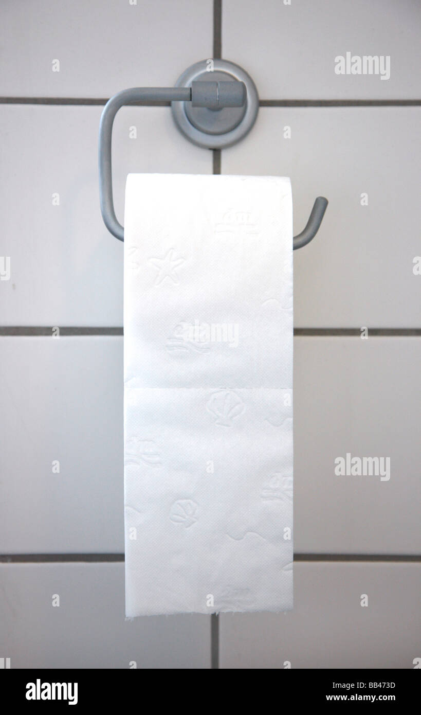 Rotolo di carta igienica in un bagno in camera Foto Stock