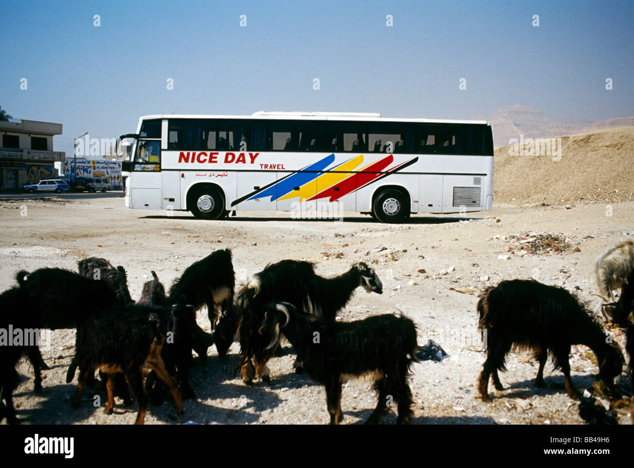 Autobus turistico in un villaggio nei pressi di Deir el-Bahari, west bank del Nilo in Egitto. Foto Stock