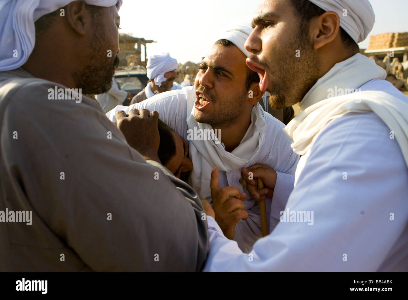Camel brokers facilitare le trattative tra gli acquirenti e i venditori al mercato di cammelli del Cairo in Egitto. Foto Stock