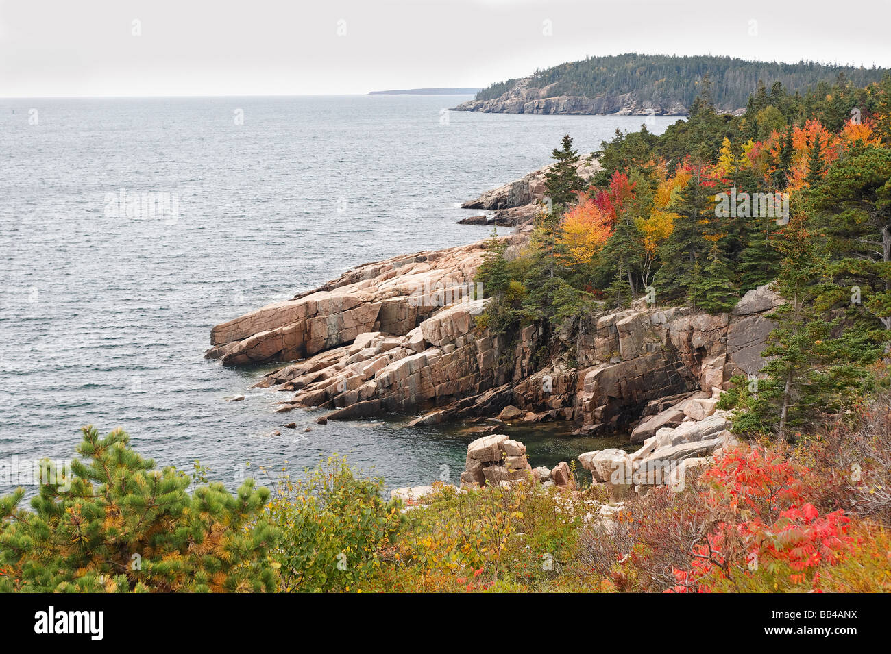 Vista di una costa rocciosa in colori autunnali al Parco Nazionale di Acadia nel Maine Foto Stock