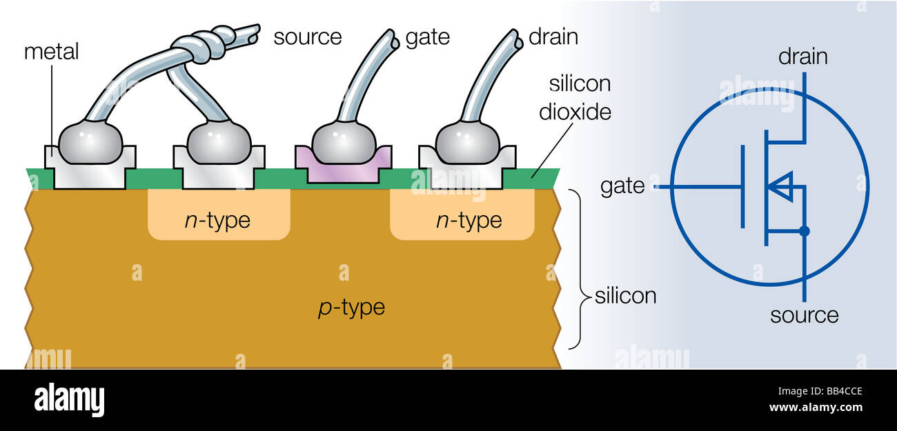 Sezione trasversale di un canale n metal-oxide semiconductor transistore ad effetto di campo e il suo simbolo di elettronica. Foto Stock