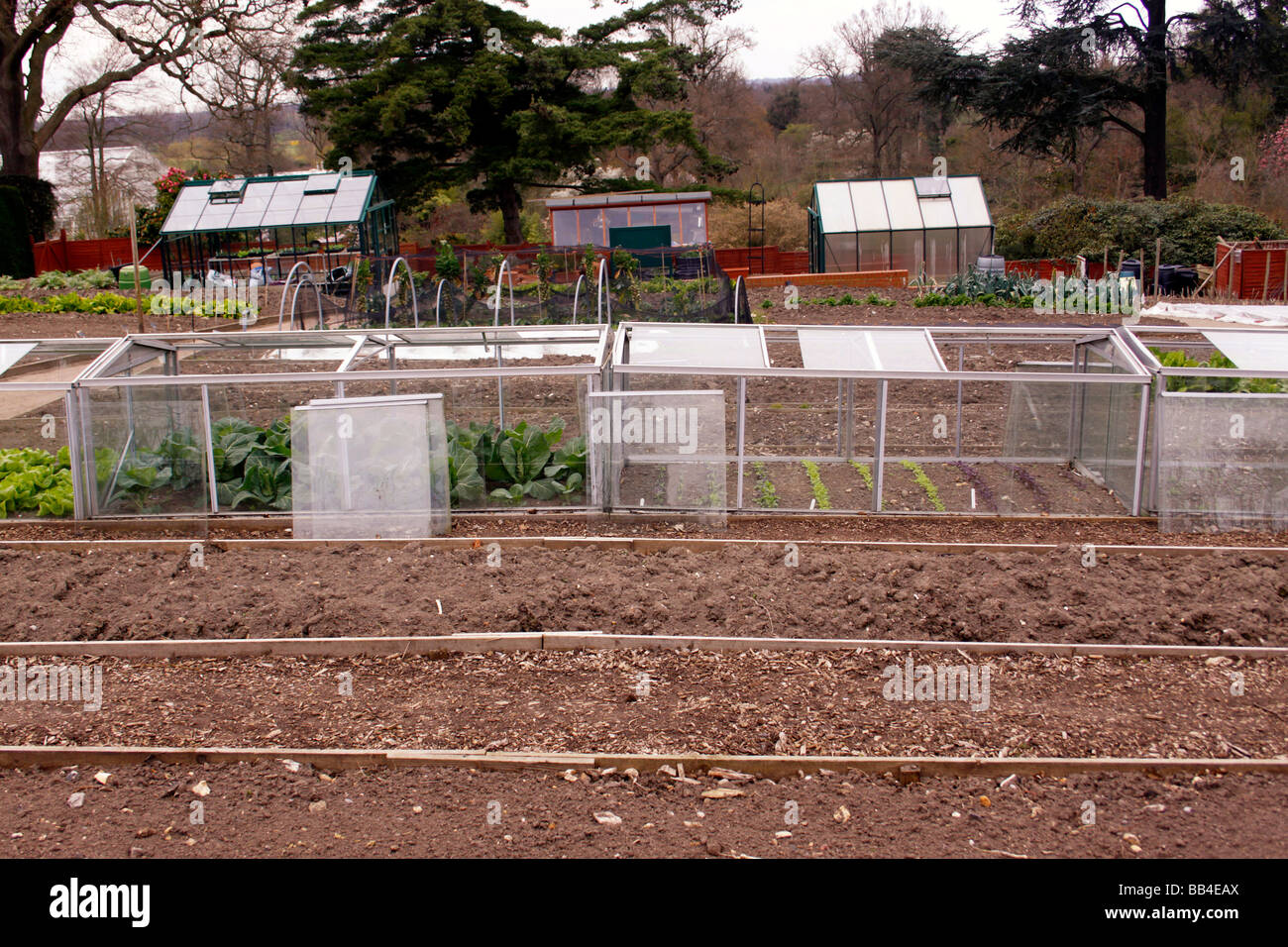 ARMADI IN VETRO UTILIZZATI COME PROTEZIONE ANTIGELO SU UNA SUPERFICIE VEGETALE Foto Stock