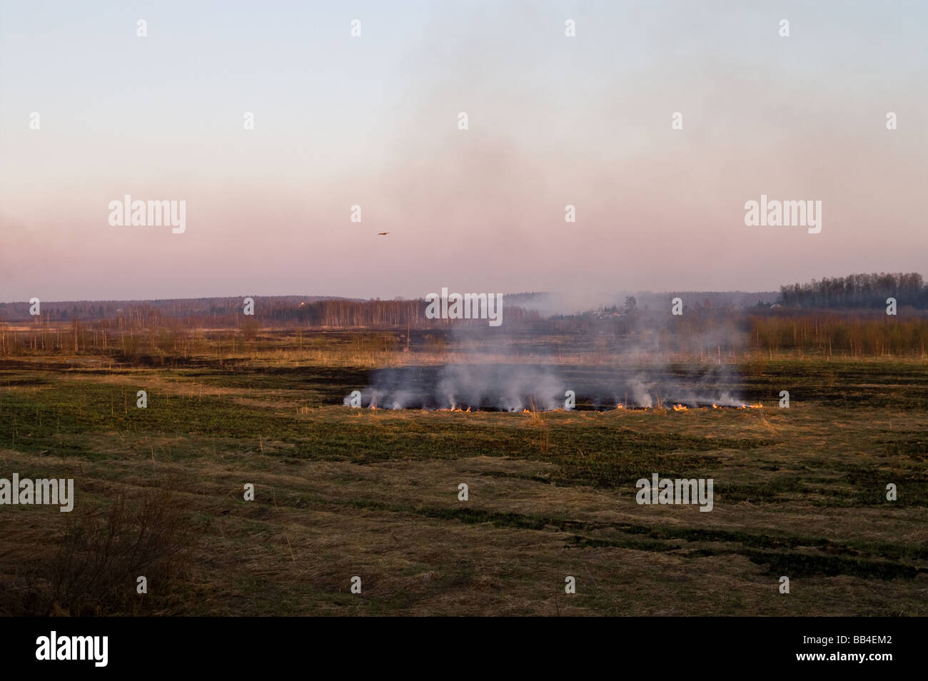 La masterizzazione di campo di erba in Russia Foto Stock