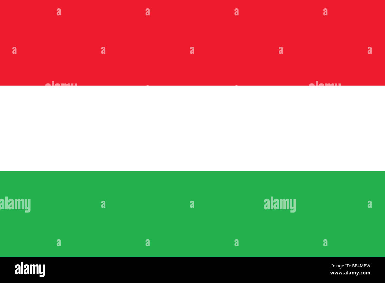 bandiera dell'Ungheria Foto Stock