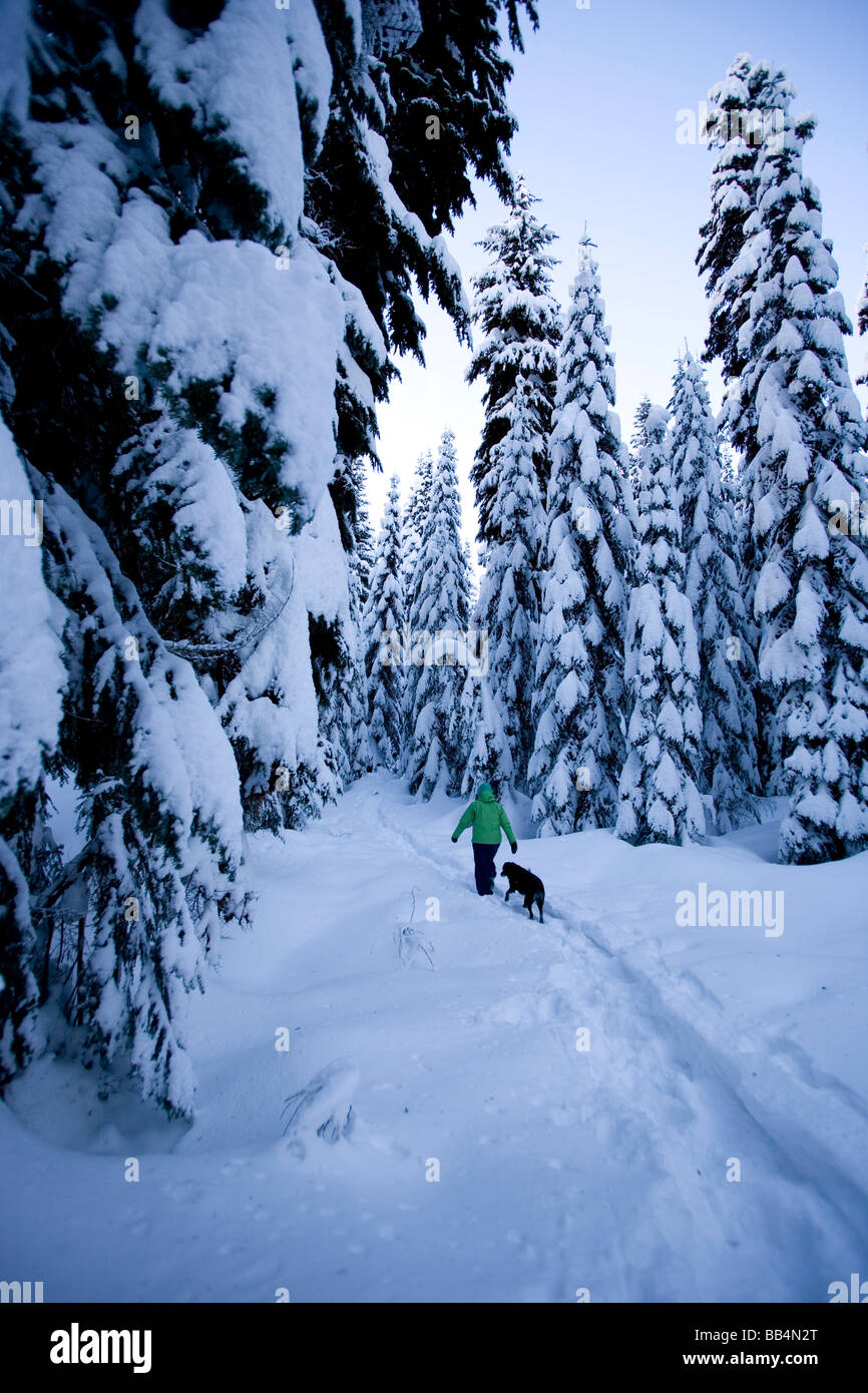 NA, USA, nello Stato di Washington, Snoqualmie Pass, (RF) Foto Stock