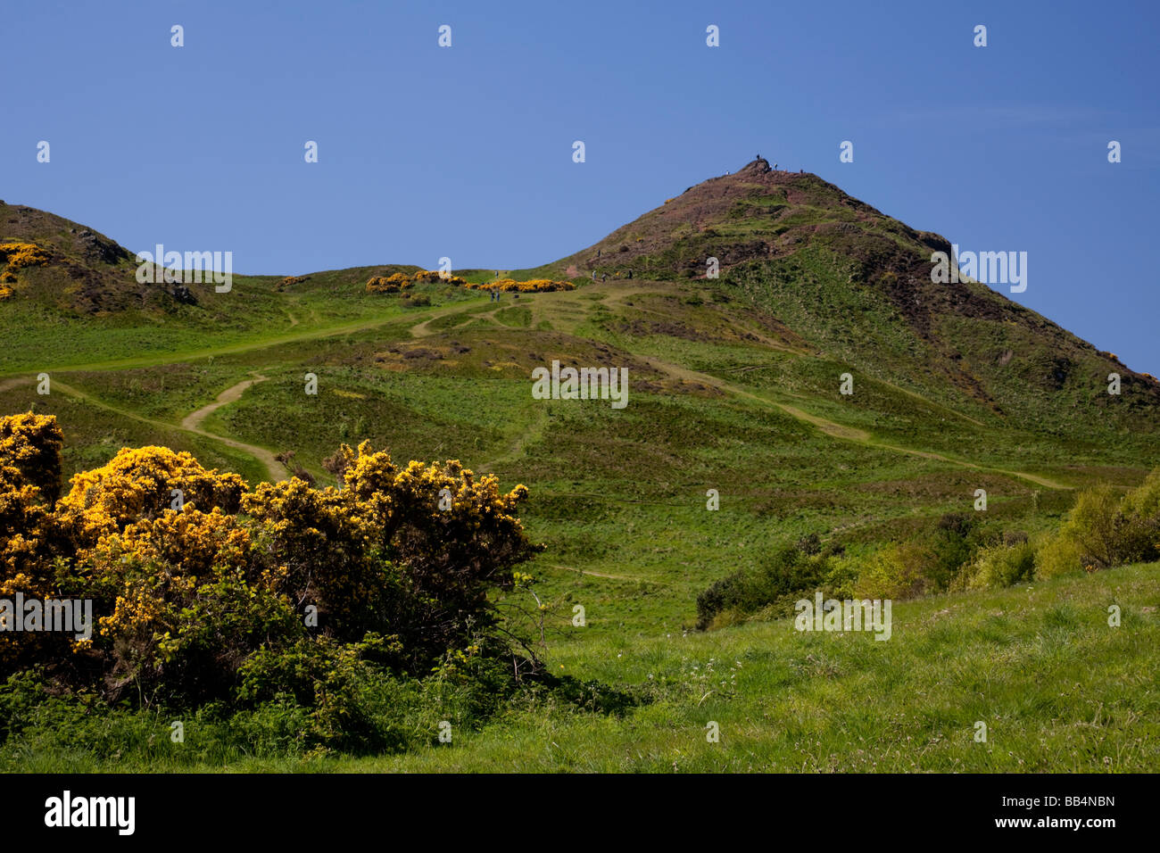 Arthur' Seat in primavera, Edimburgo, Scozia, Regno Unito, Europa Foto Stock