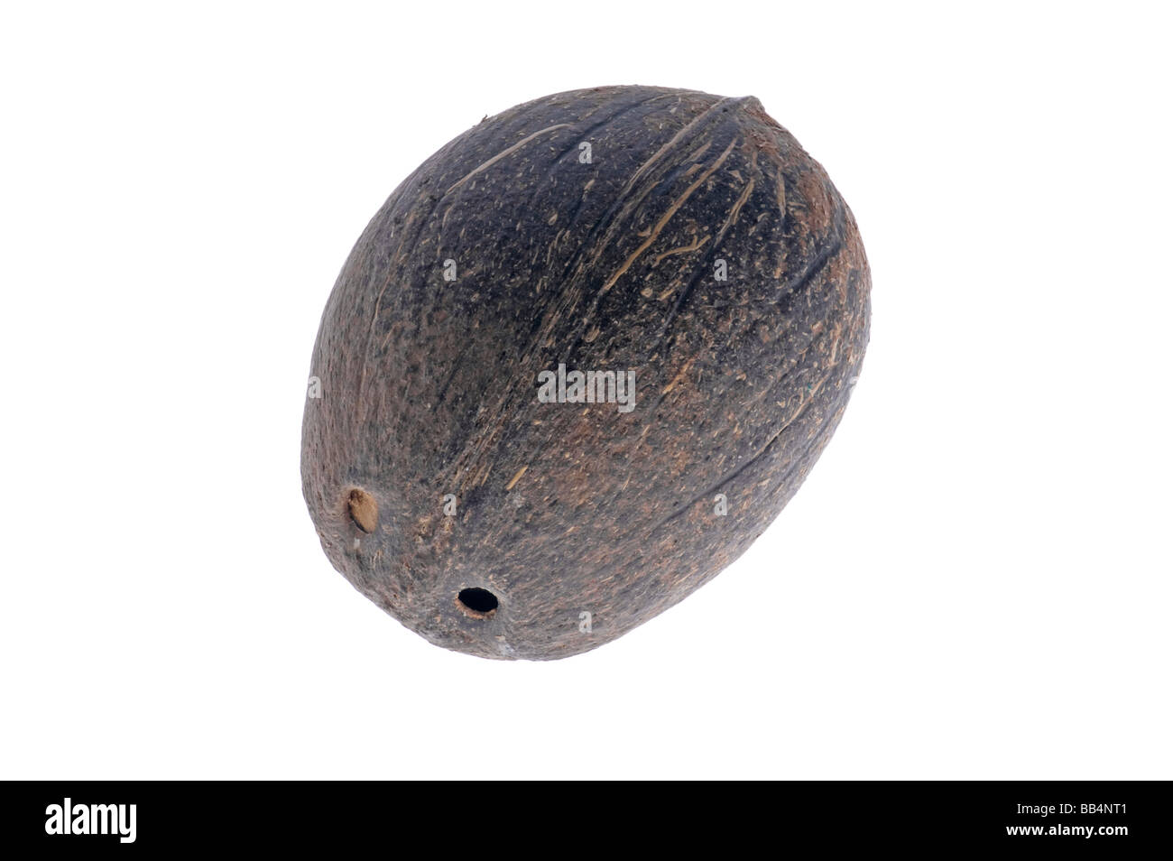 Oggetto su bianco cocco alimentare close up Foto Stock