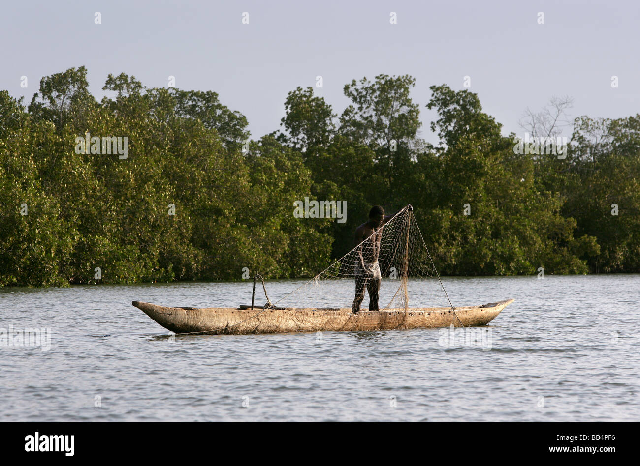 Senegal: pescatore tirando la rete nella sua piroga sul fiume Casamance Foto Stock