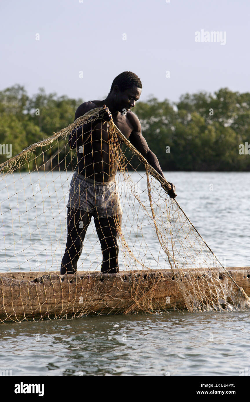 Senegal: pescatore tirando la rete nella sua piroga sul fiume Casamance Foto Stock