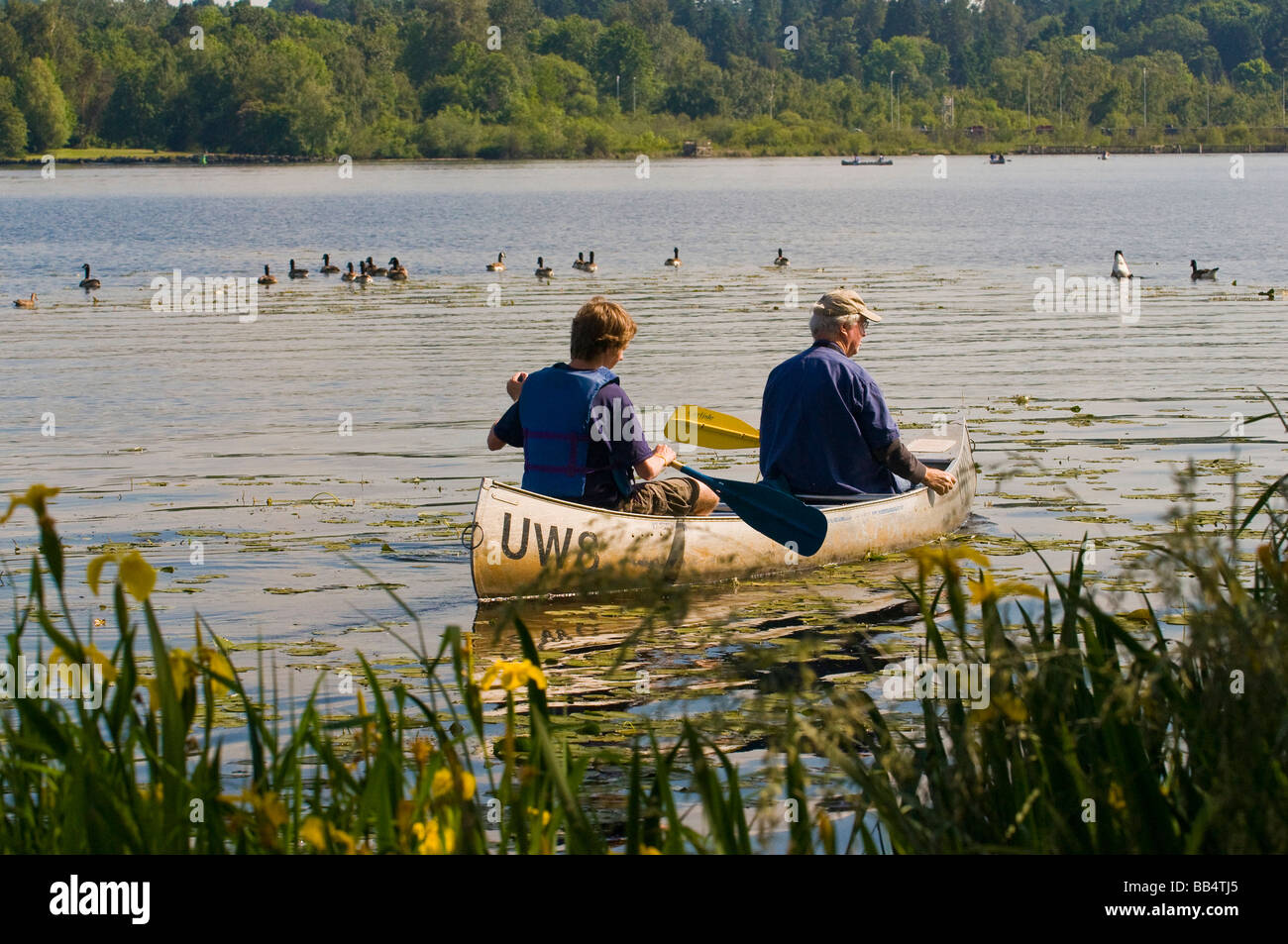 Noleggio di canoe disponibili sulla baia di unione attraverso l università di Washington sul lungomare del centro di attività Foto Stock