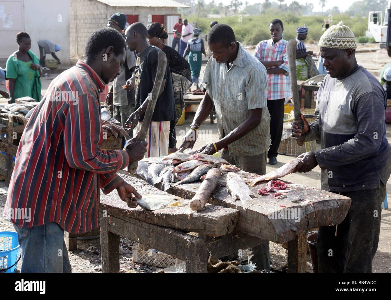 Senegal: gli uomini la pulizia del pesce al mercato del pesce a Ziguinchor Foto Stock
