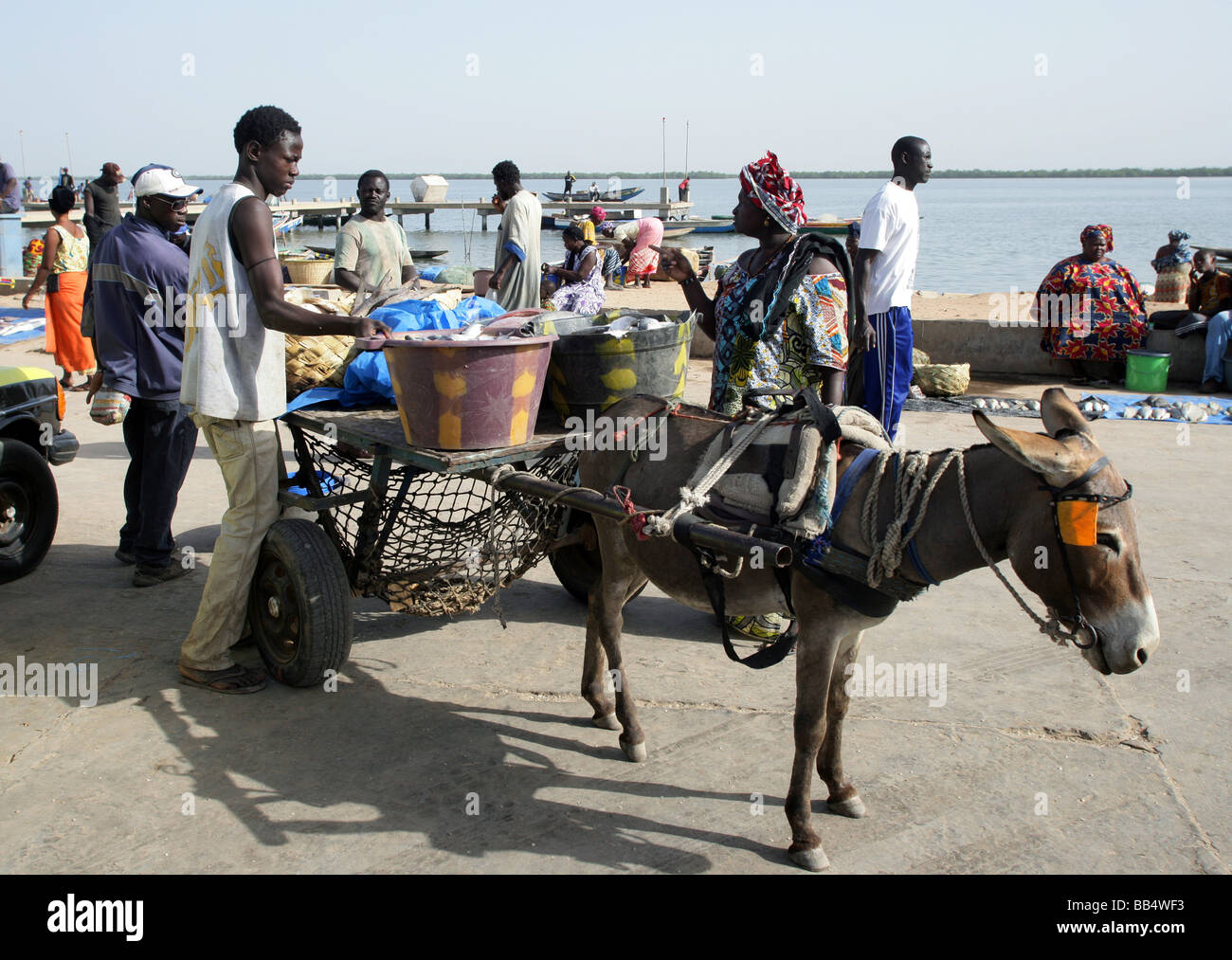 Senegal: mercato del pesce a Ziguinchor Foto Stock