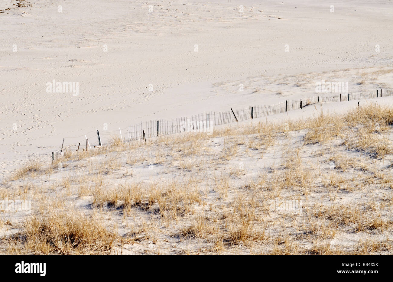 Recinzione in spiaggia in sabbia per controllo di erosione in Lighthouse Beach in Chatham Cape Cod Foto Stock