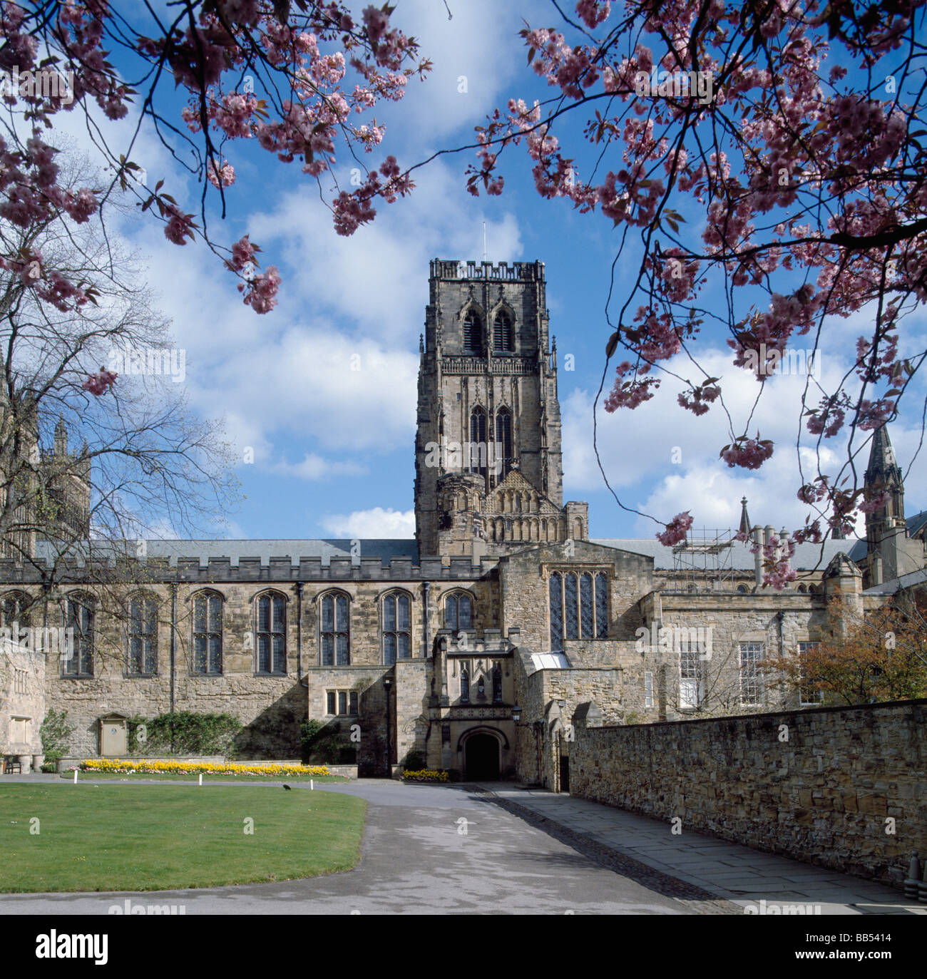 La Cattedrale di Durham sud davanti con torre centrale e la primavera sbocciano i fiori Foto Stock