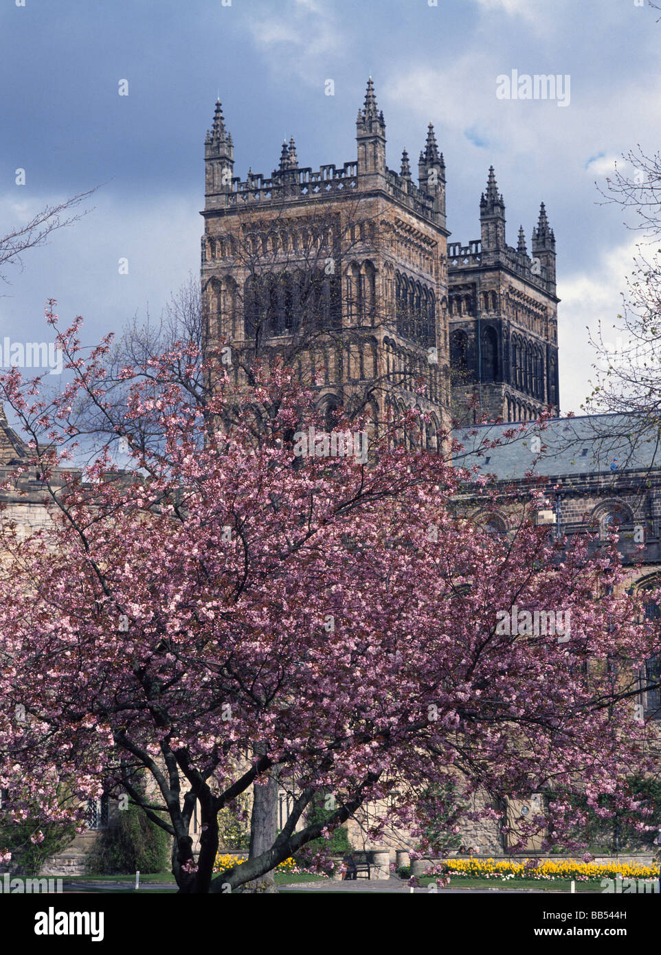 La Cattedrale di Durham ovest torri con fiore a molla Foto Stock