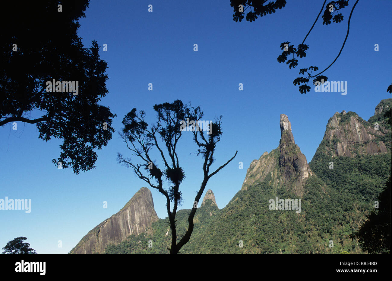 Dito di Dio Serra dos Órgãos Montagne Brasile Foto Stock