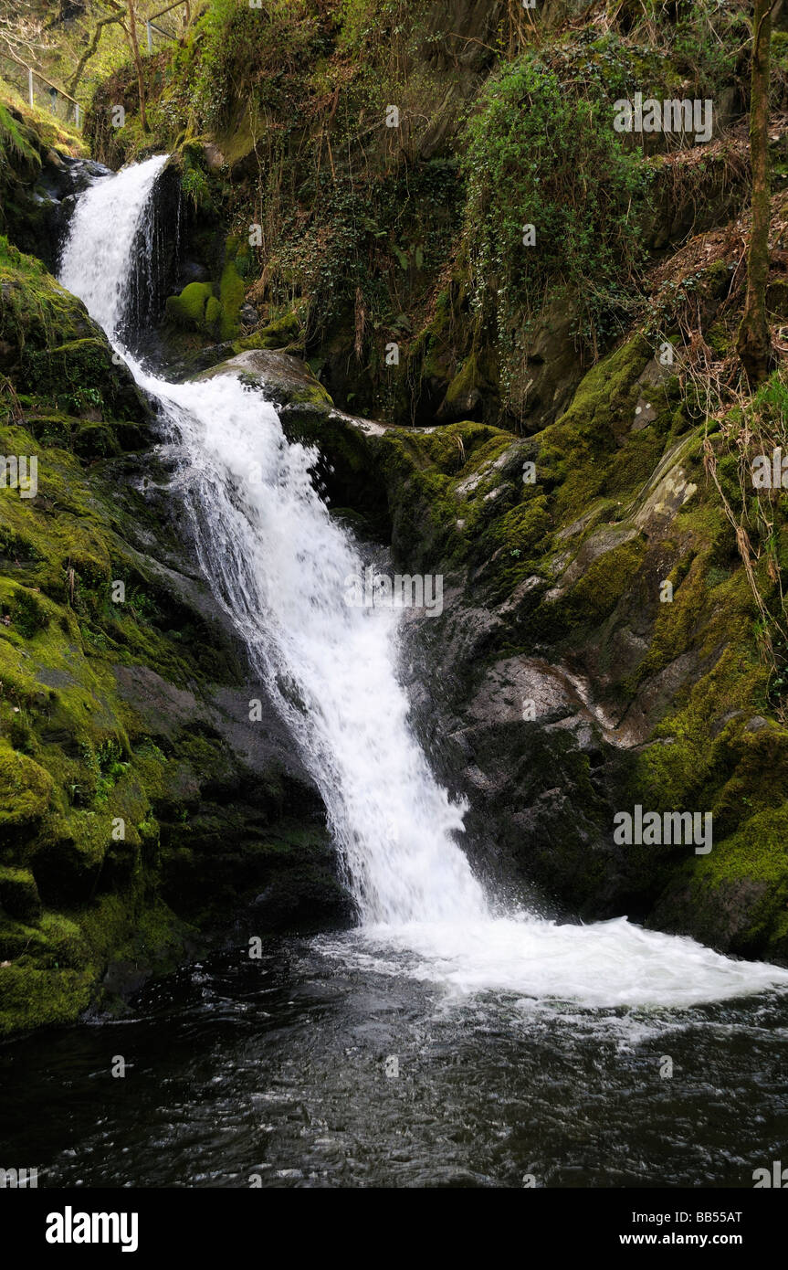 Dolgoch rientra nel Parco Nazionale di Snowdonia Foto Stock