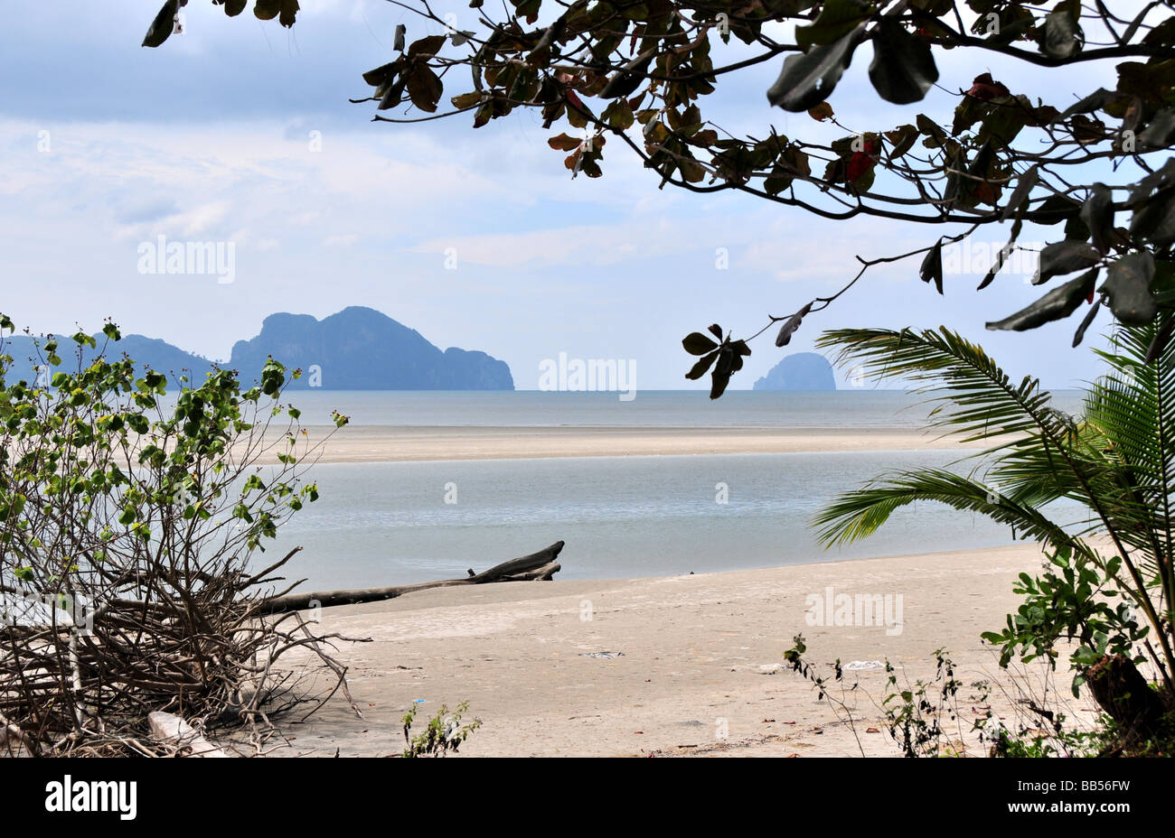 Spiaggia sabbiosa a estuario del fiume in Thailandia Foto Stock