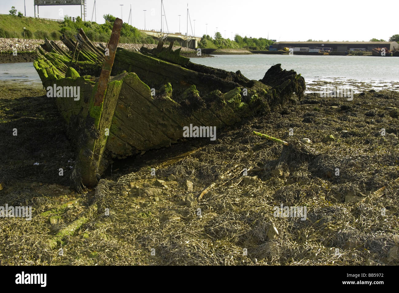 Marciume dello scafo in legno Foto Stock