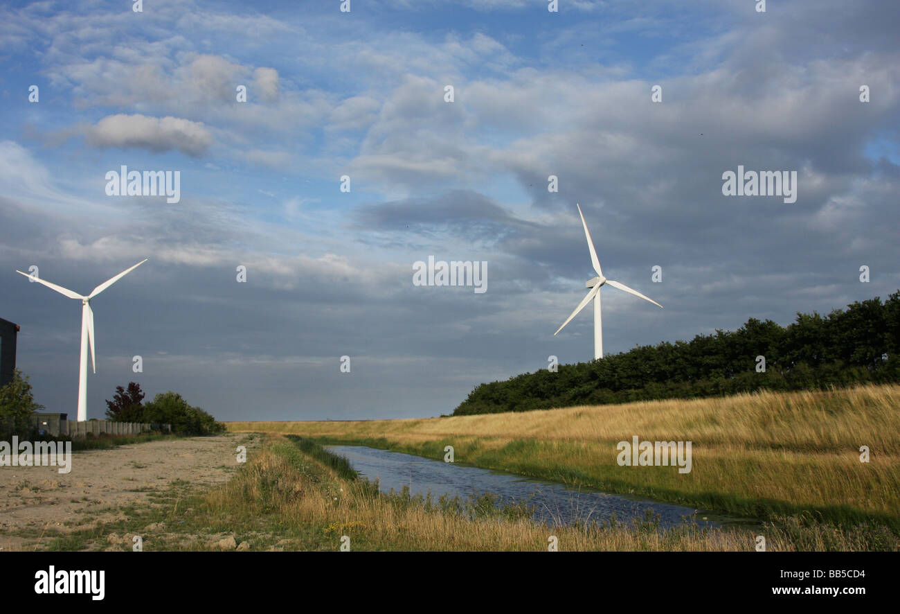 La forza del vento in Avedøre Copenaghen; Danimarca Foto Stock