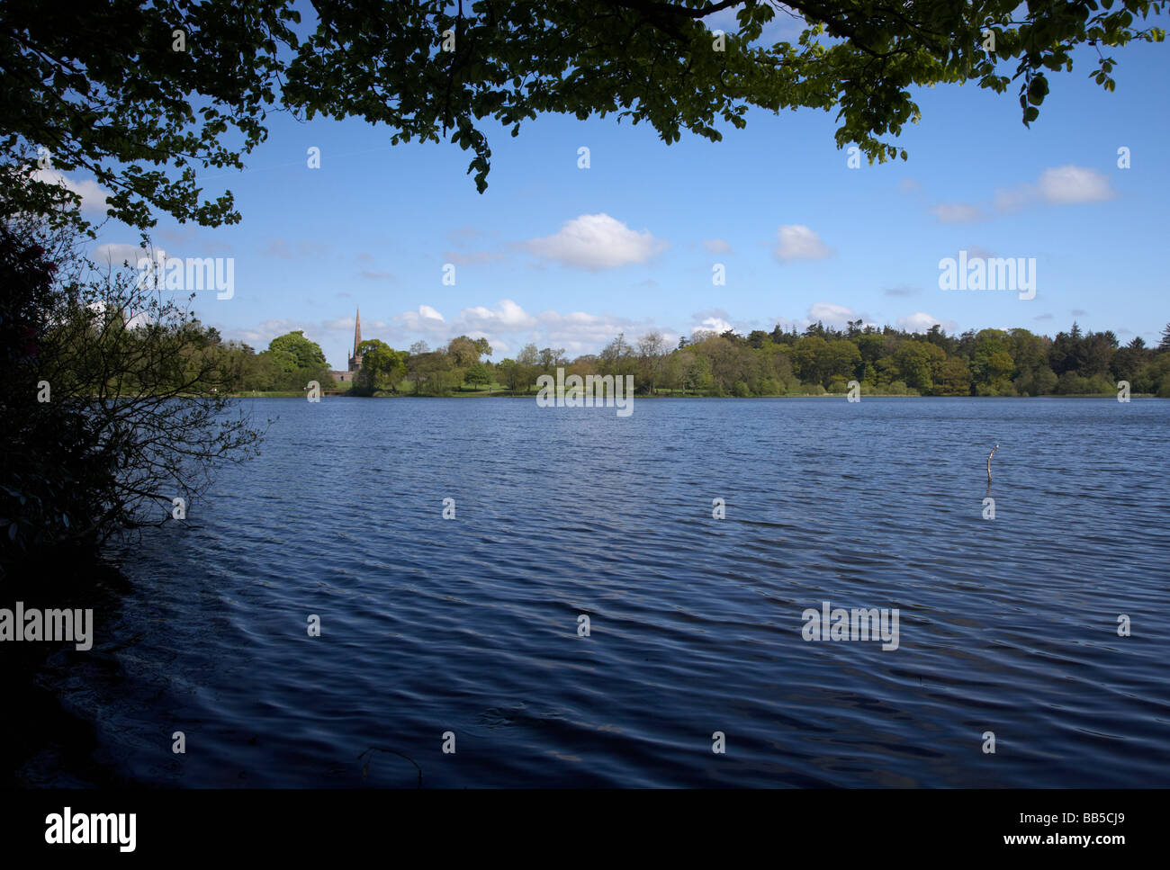 Lago di Hillsborough in Hillsborough Forest Park contea di Down Irlanda del Nord Regno Unito Foto Stock