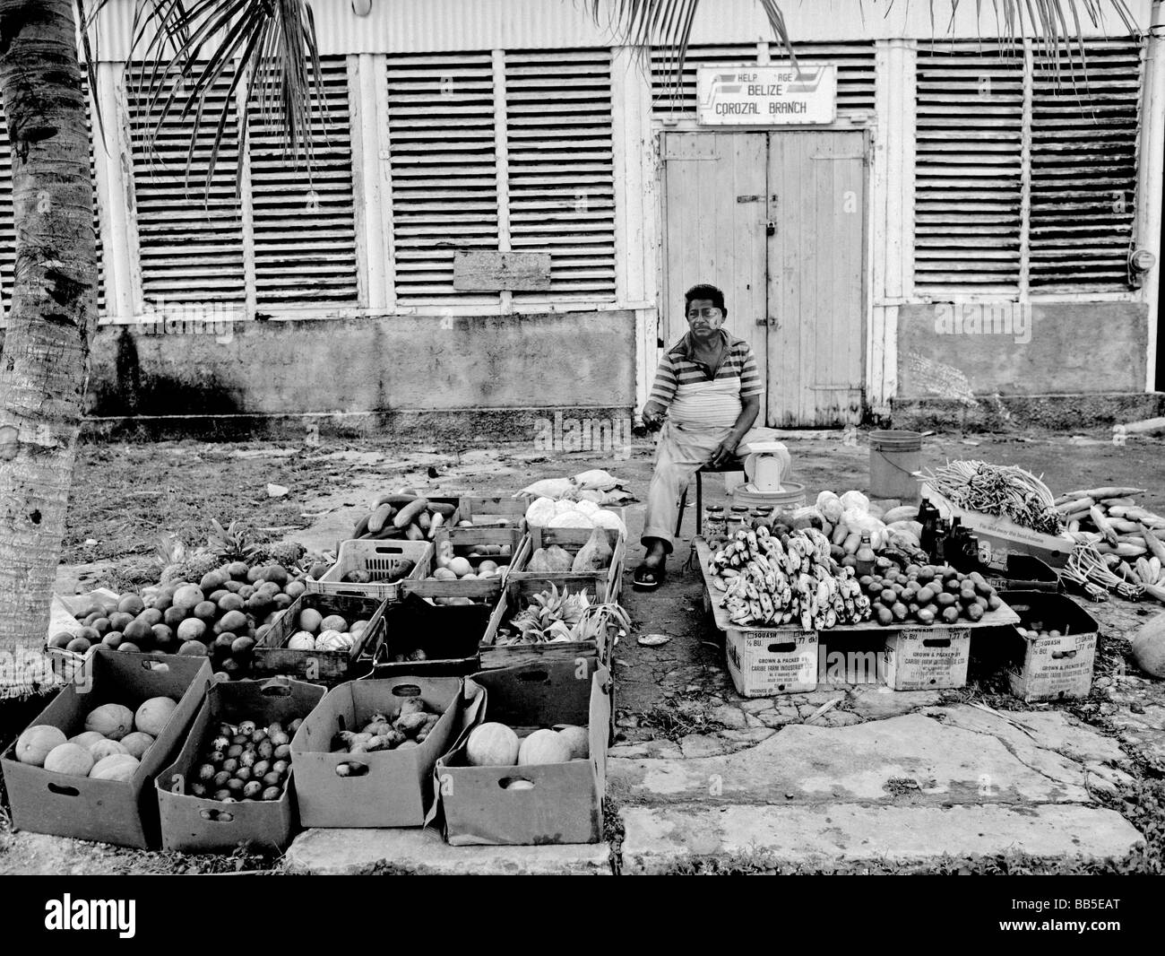 Corozal mercato titolare personale Belize, America Centrale Foto Stock