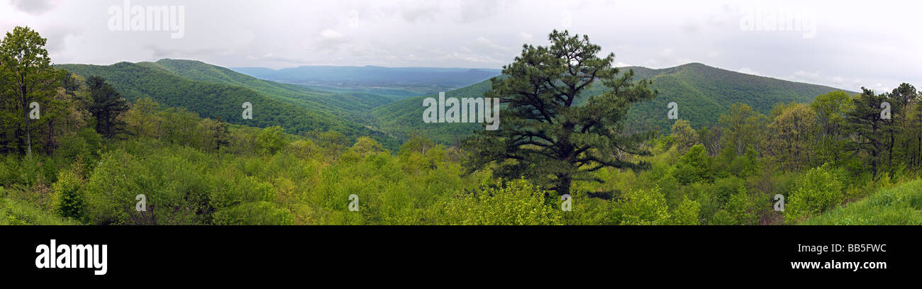 La primavera vista da eseguire Jeremys si affacciano sulla Skyline Drive nel Parco Nazionale di Shenandoah Virginia STATI UNITI D'AMERICA Foto Stock