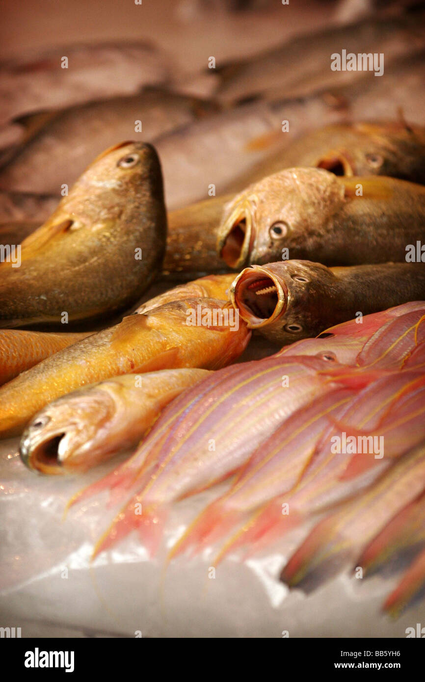 Il pesce per la vendita in uno dei molti mercati sull isola di Hong Kong, Hong Kong. Foto Stock