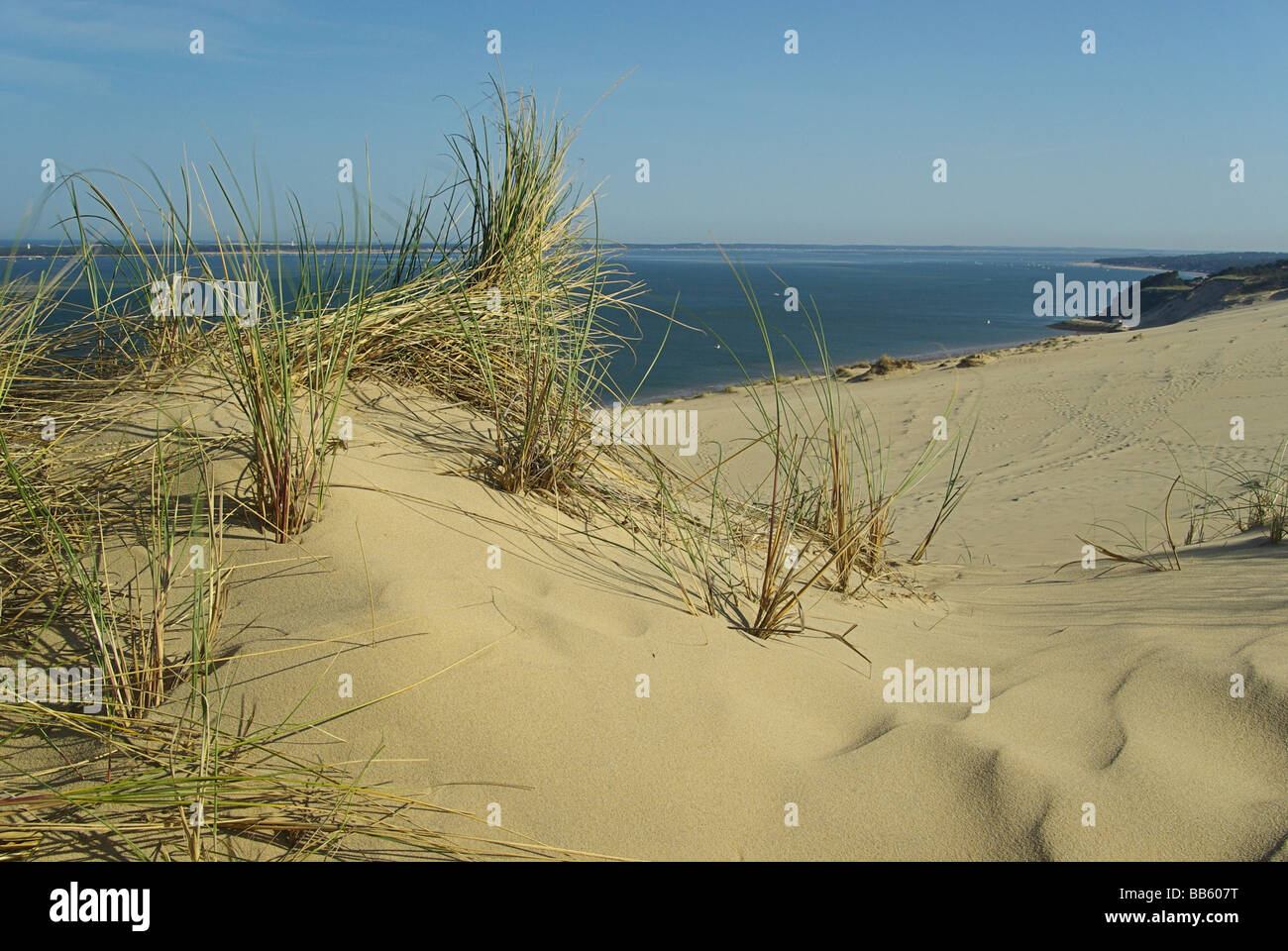 Duna di Pyla 03 Foto Stock