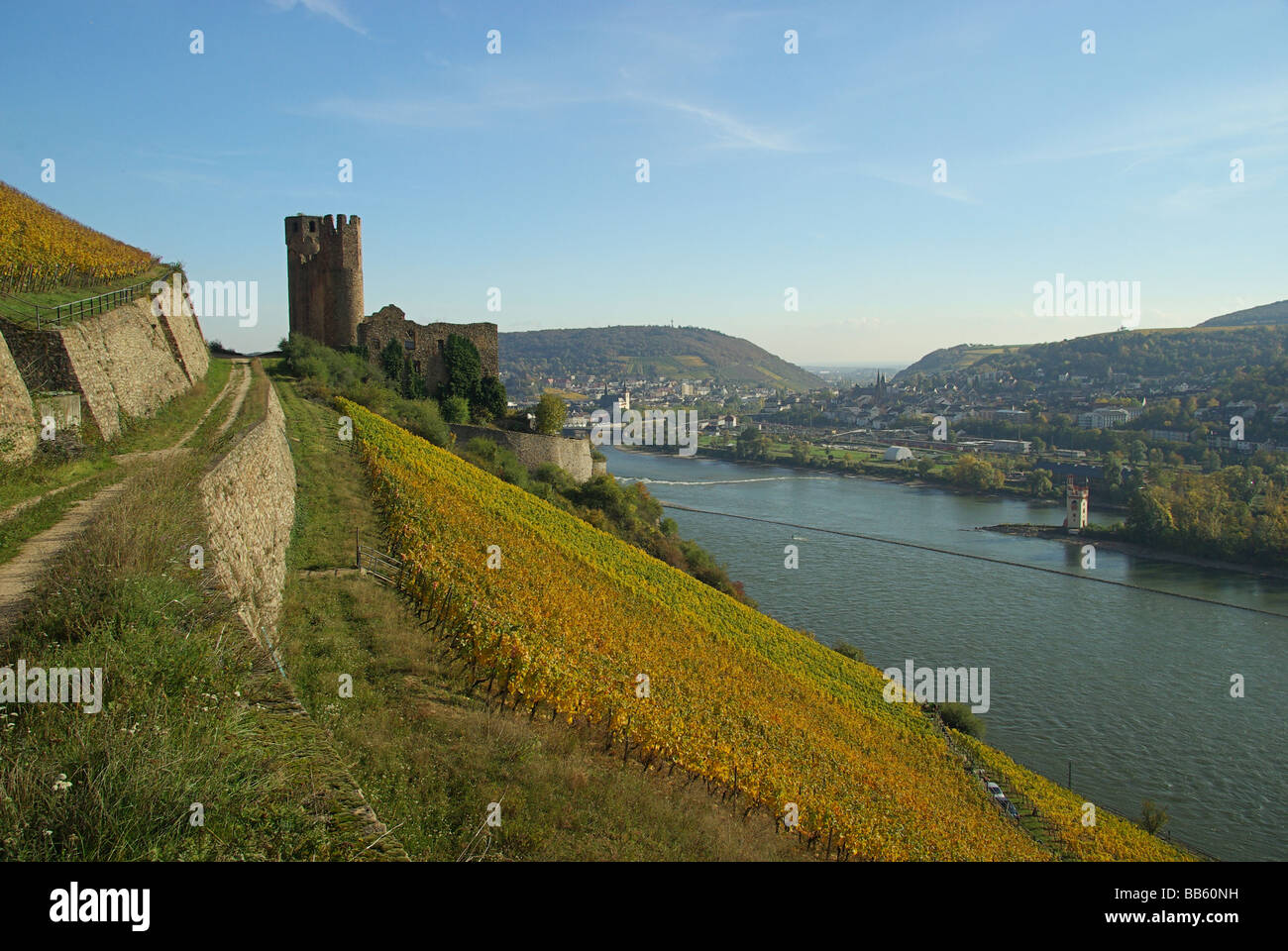 11 di Ehrenfels Foto Stock