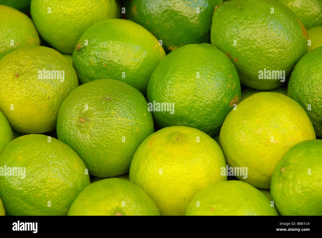 Limone calce 02 Foto Stock