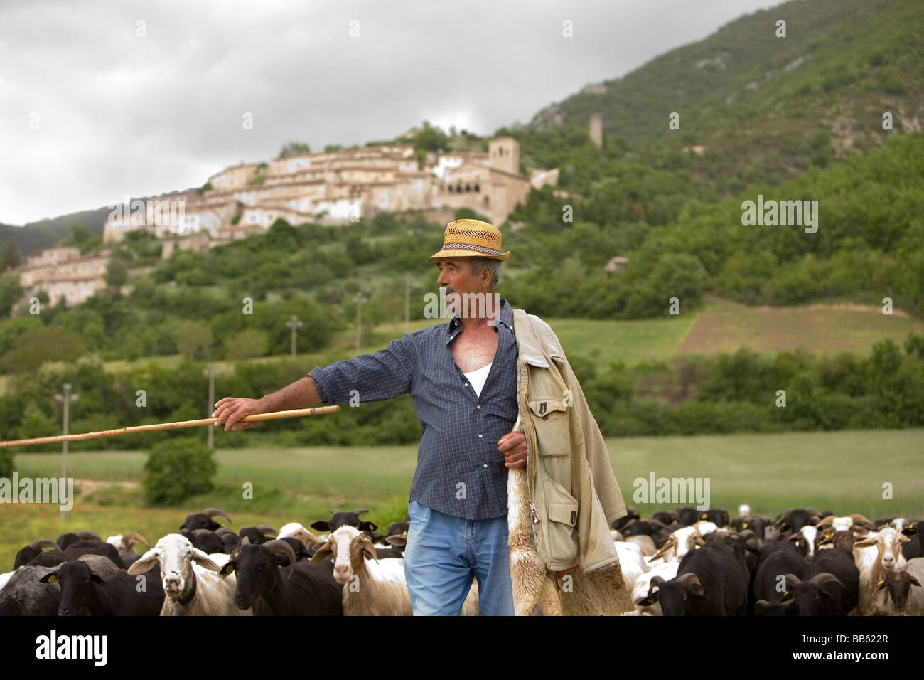 Pastore portando il suo gregge home passato la città sulla collina di campi in Umbria. Le pecore sono portati verso il basso ogni sera per la mungitura. Foto Stock