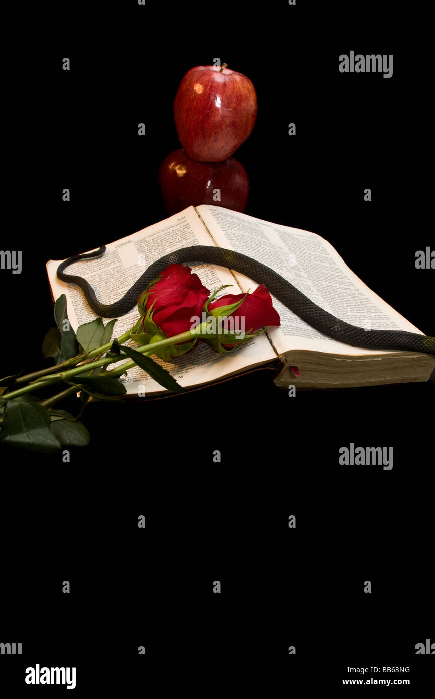 In principio era il verbo - la verità o è stato? Cerca il frutto proibito. Foto Stock