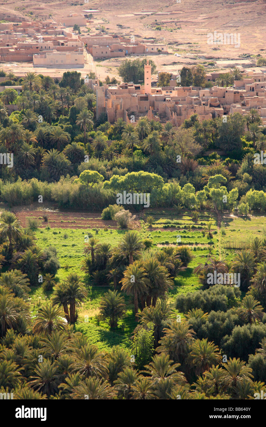 Vista al di sopra di una kasbah circondato da un'oasi/terre irrigate dal fiume Ziz in Ziz gorge, Marocco, Africa del Nord Foto Stock