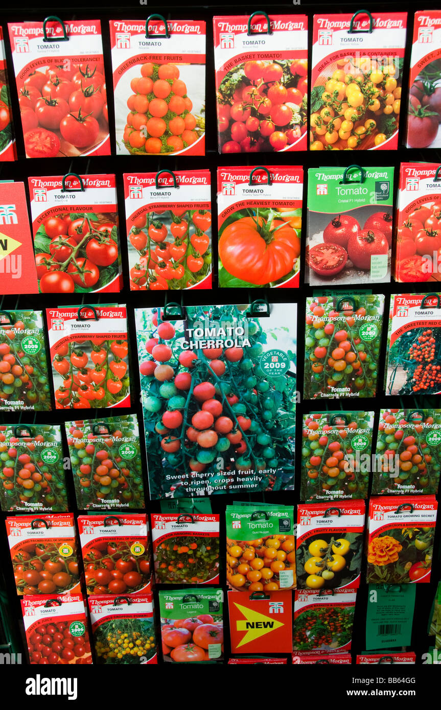 I semi di pomodoro per la vendita presso un centro di giardinaggio in Gran Bretagna Foto Stock
