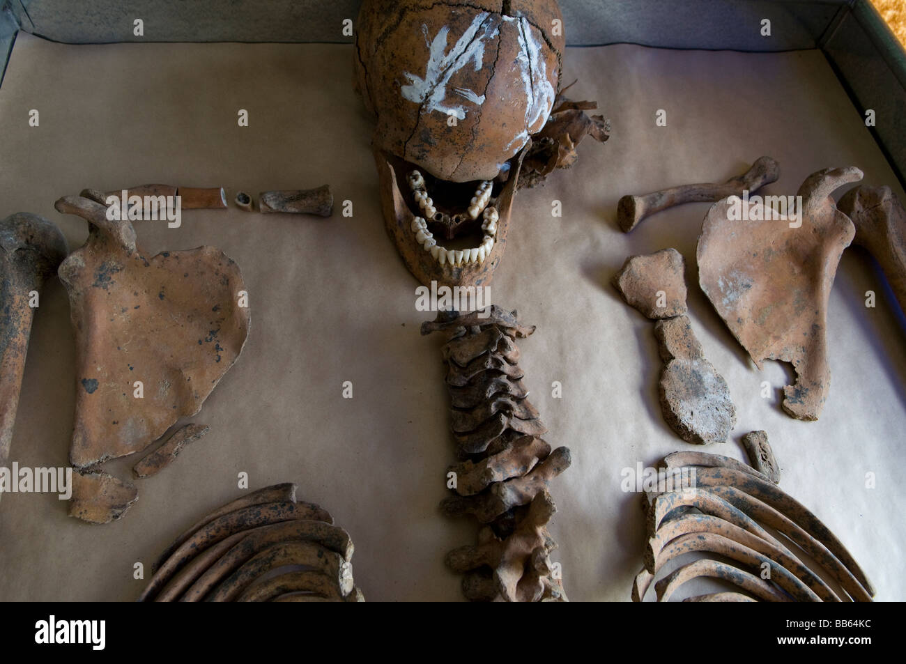Resti di ossa umane alla camera mortuaria facility di ICMP per identificazioni di persone scomparse dalla guerra in Bosnia nella città di Tuzla, Bosnia Foto Stock