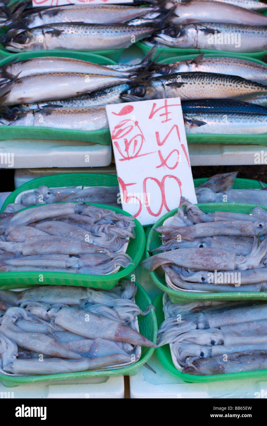 Pesce e calamari in vendita a Tokyo (Ameyayokocho Ameyokocho) i mercati Foto Stock