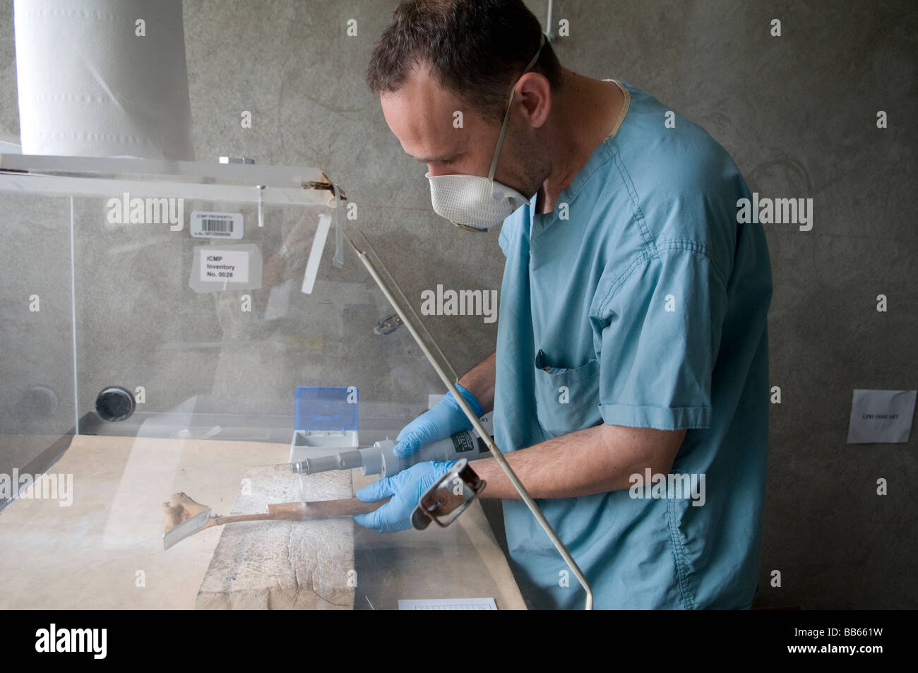 Archeologo forense il taglio di un osso umano alla camera mortuaria facility di ICMP commissione di persone scomparse dalla guerra in Bosnia in Tuzla, Bosnia Foto Stock