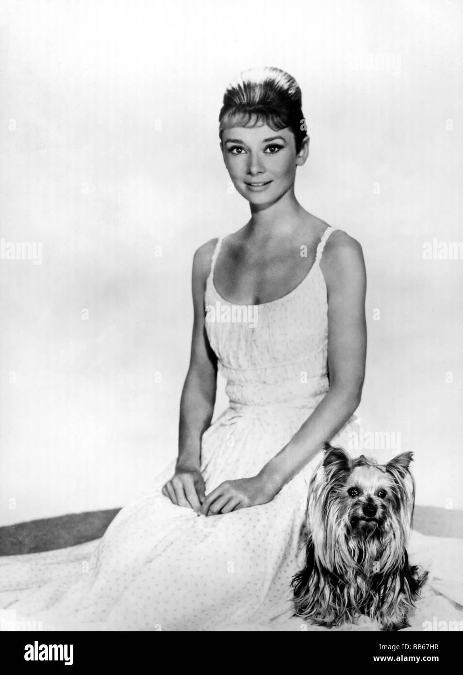 Hepburn, Audrey, 4.5.1929 - 20.1.1993, attrice britannica, mezza lunghezza, seduta, con cane, studio, 1960s, Foto Stock