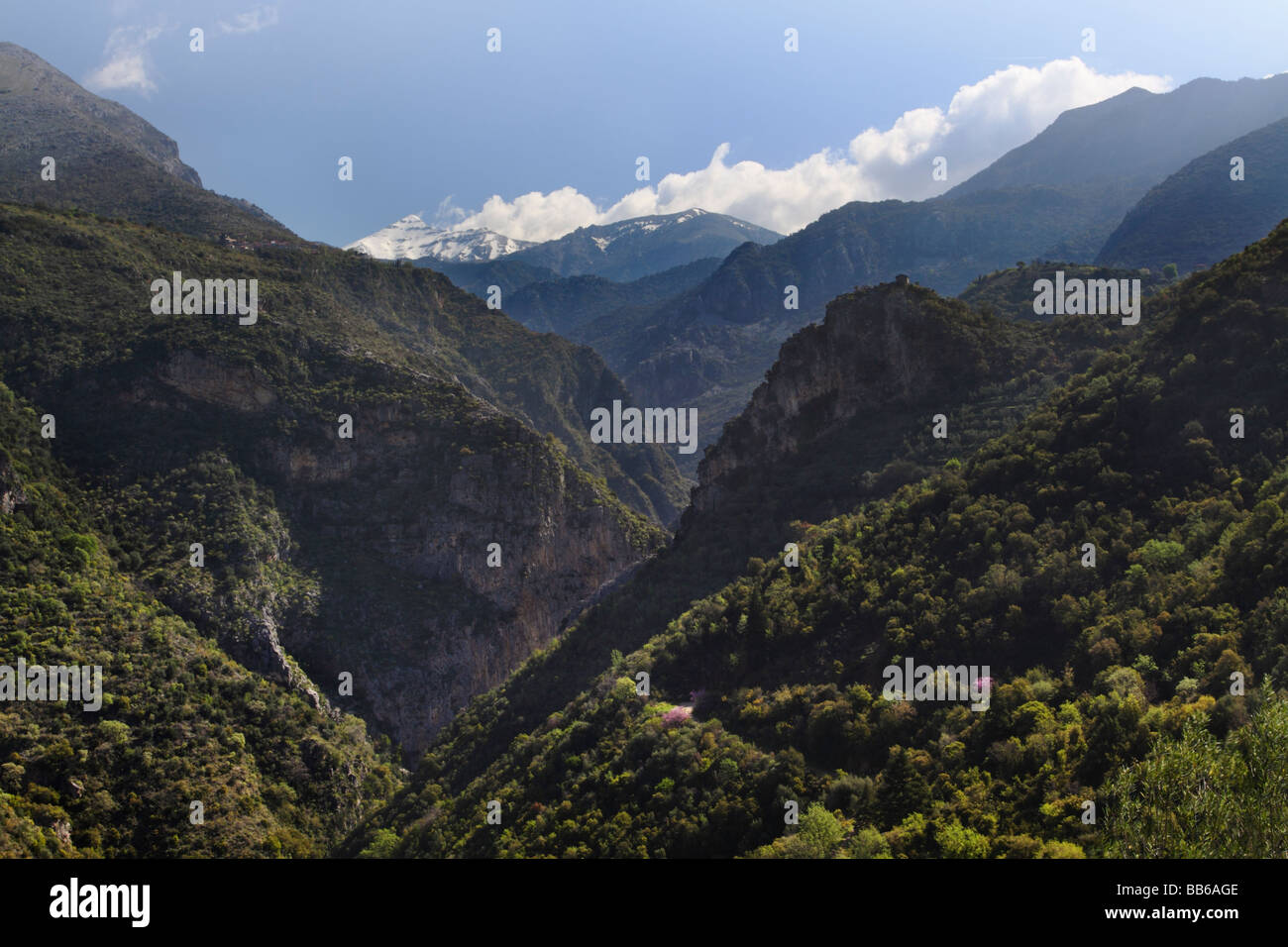Vista lungo la Viros Gorge verso le montagne Taigetos Peloponneso Grecia Foto Stock